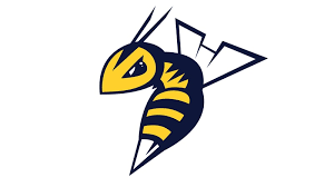 Stingers logo